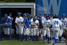 Baseball vs Babson  Wheaton College Baseball vs Babson during Championship game of the NEWMAC Championship hosted by Wheaton. - (Photo by Keith Nordstrom) : Wheaton, baseball, NEWMAC